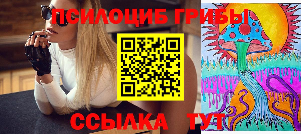 Богданович  Псилоцибиновые грибы Psilocybine cubensis  Вход с VPN 