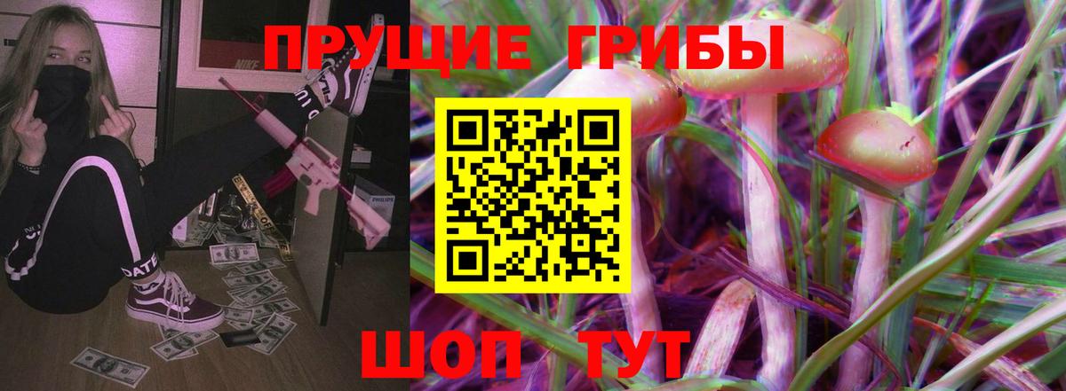Галлюциногенные грибы Cubensis Богданович