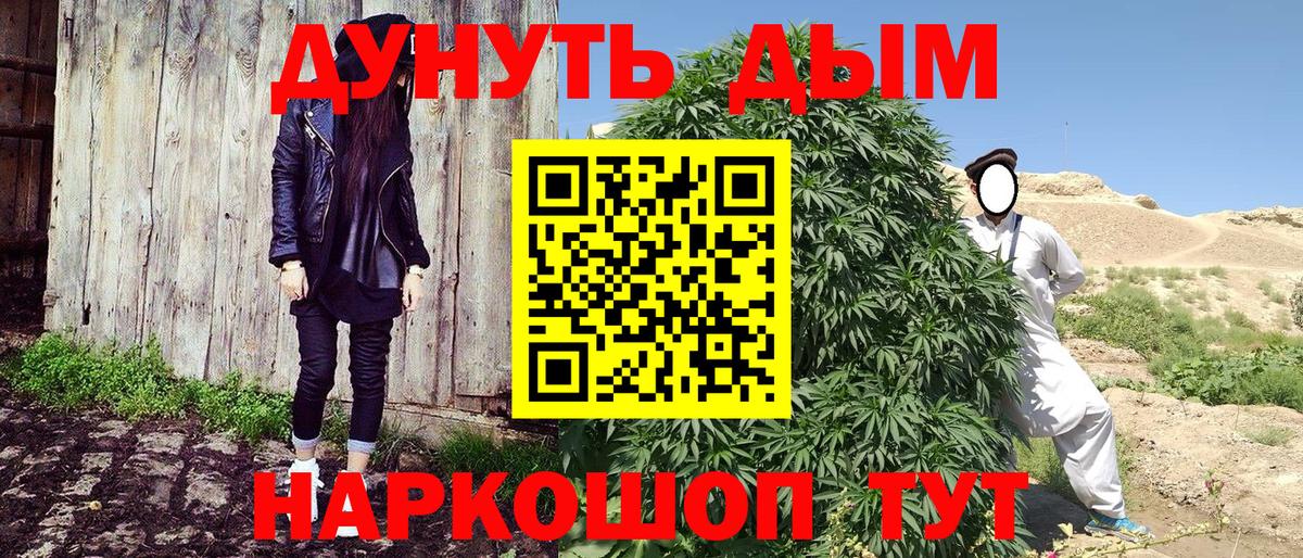 Канабис сатива Богданович